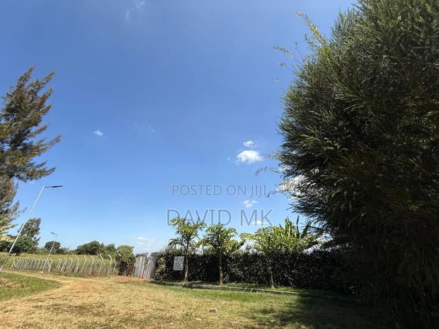 Land 1/2 Acre for Sale - thumbnail 3