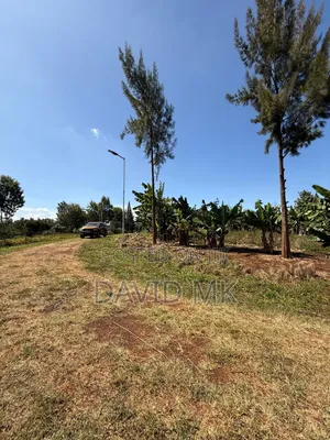 Land 1/2 Acre for Sale