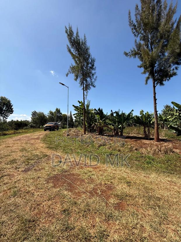 Land 1/2 Acre for Sale - thumbnail 4