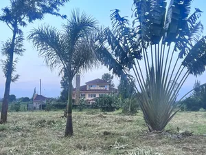 Land 1/2 Acre for Sale