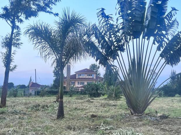 Land 1/2 Acre for Sale - thumbnail 5