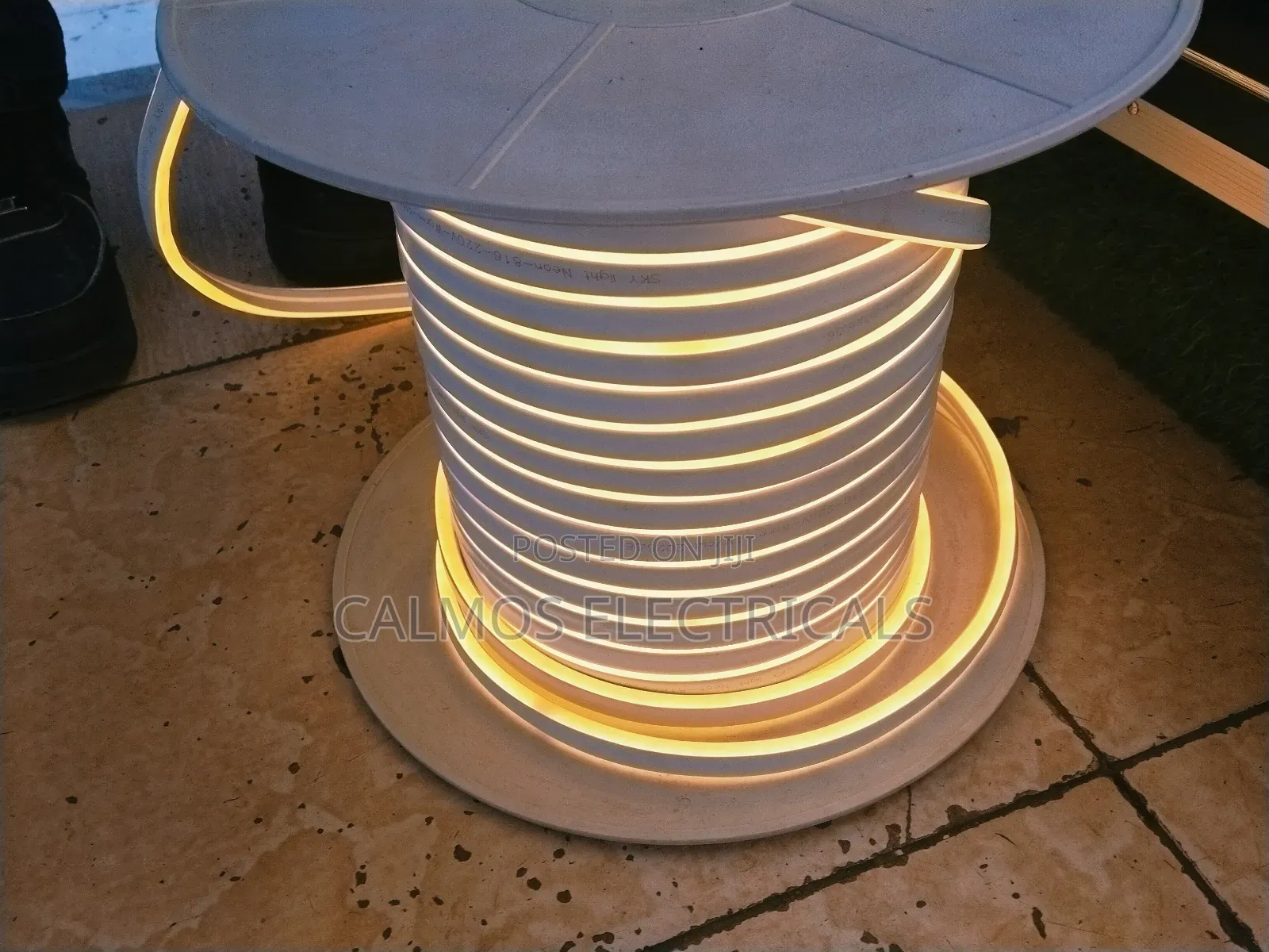 Neon Snake Lights