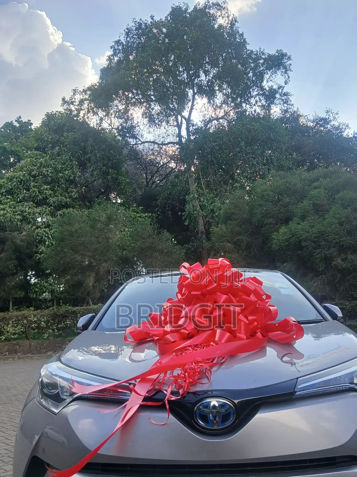 Car Gift Bow and Large Gifts Bow