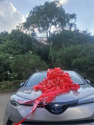 Car Gift Bow and Large Gifts Bow