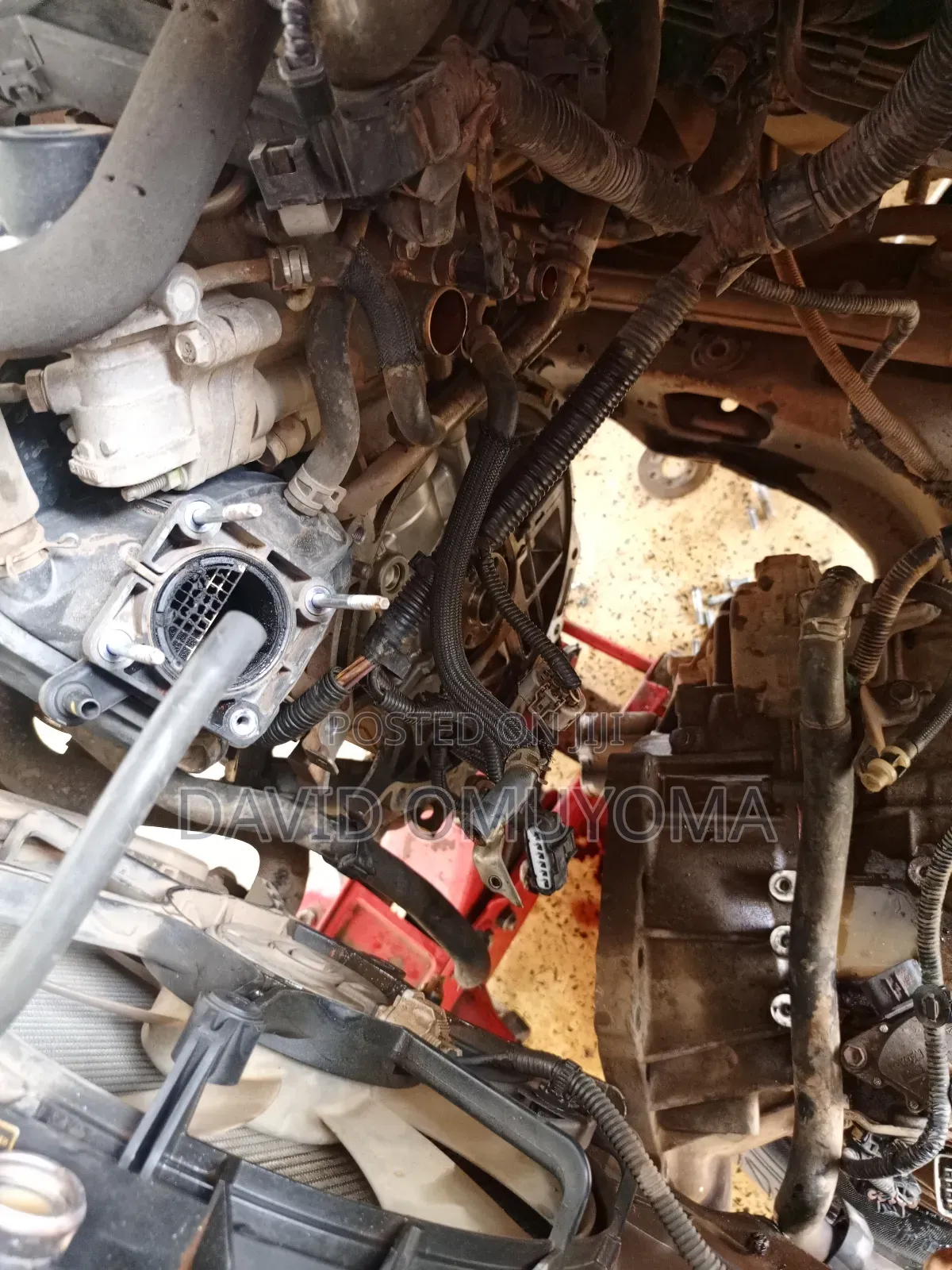 David Auto Mechanic