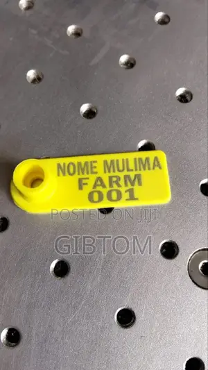 Ear Tags for Cattle Identification