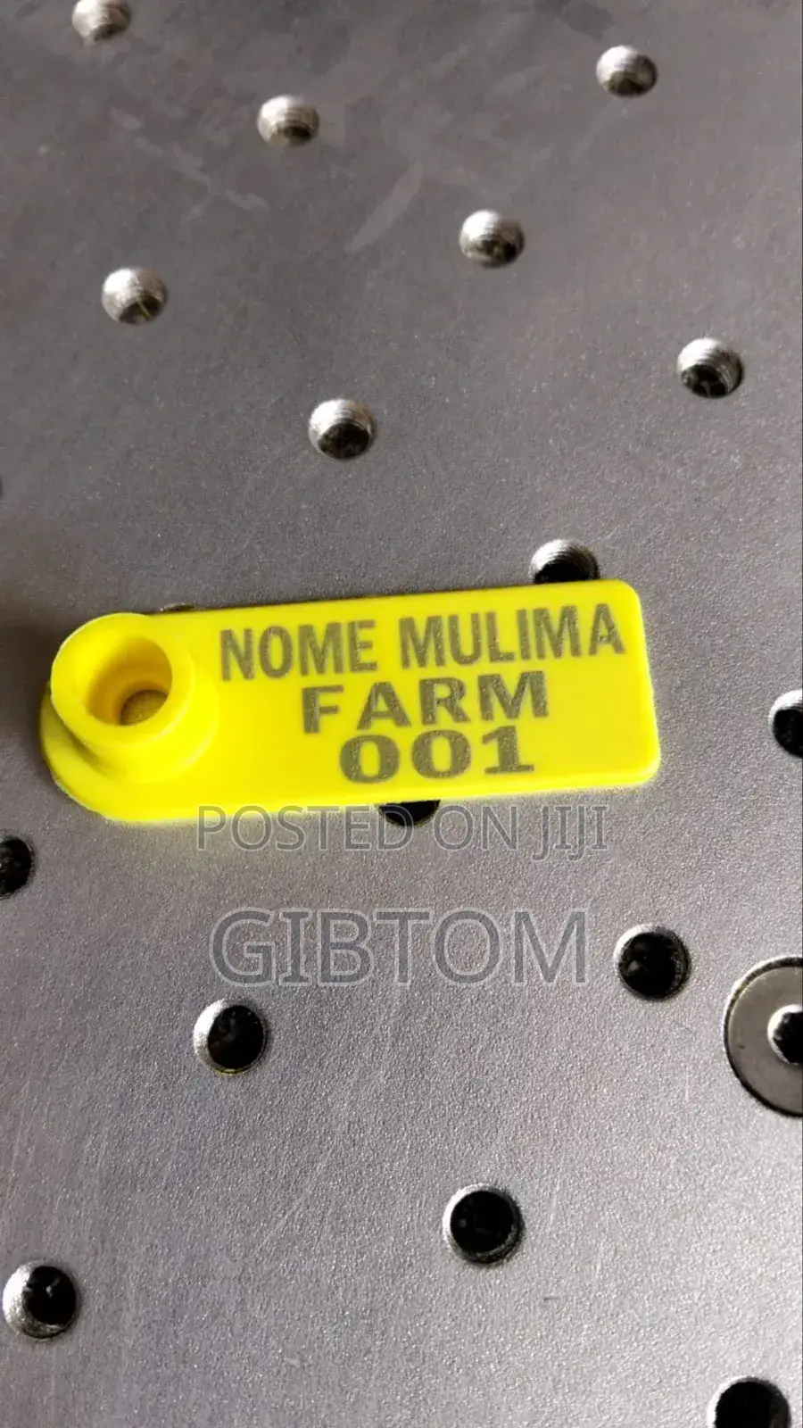 Ear Tags for Cattle Identification