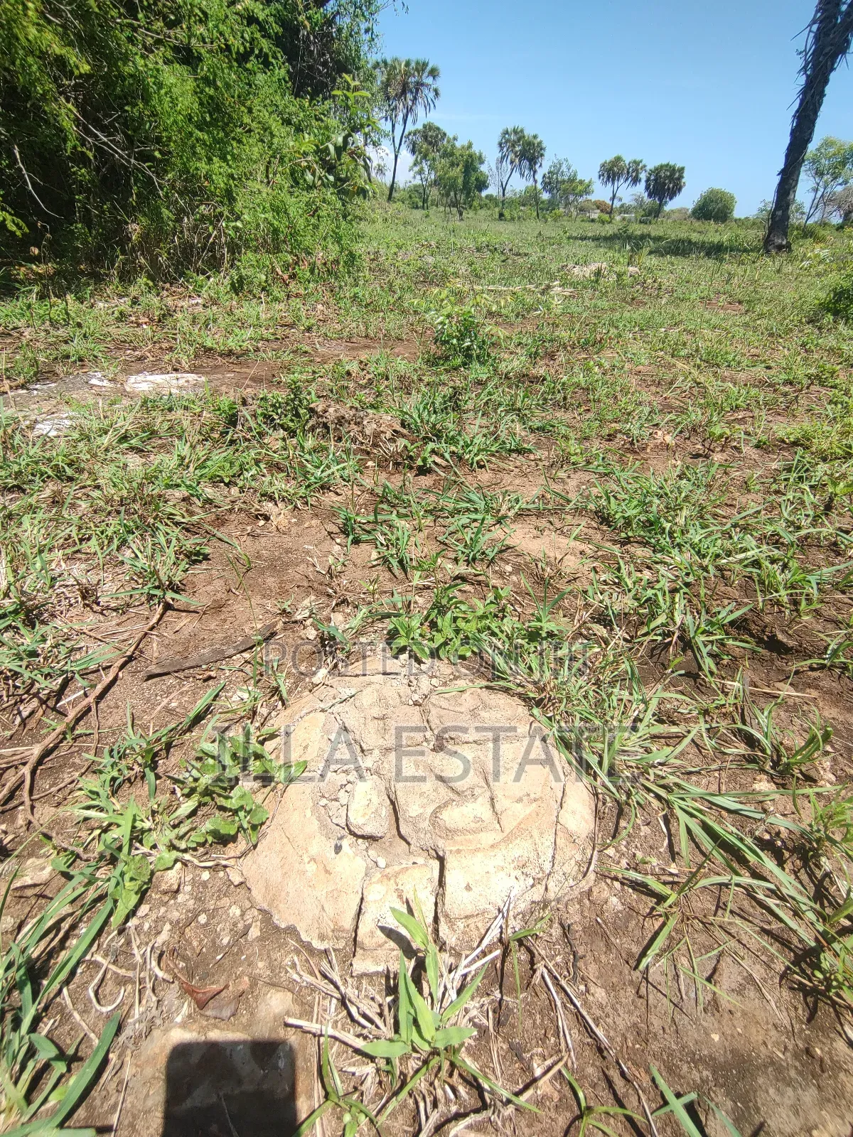 Development Opportunity in Diani