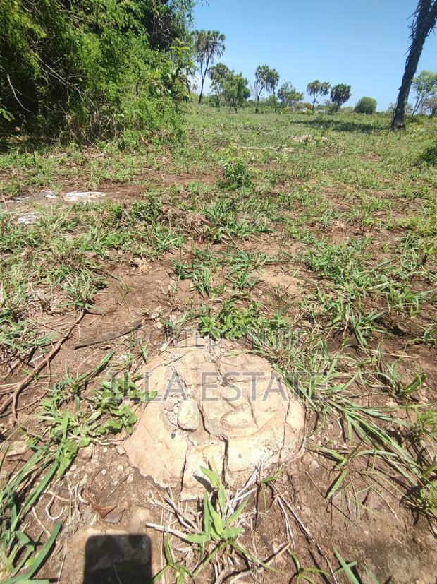 Development Opportunity in Diani - thumbnail 8