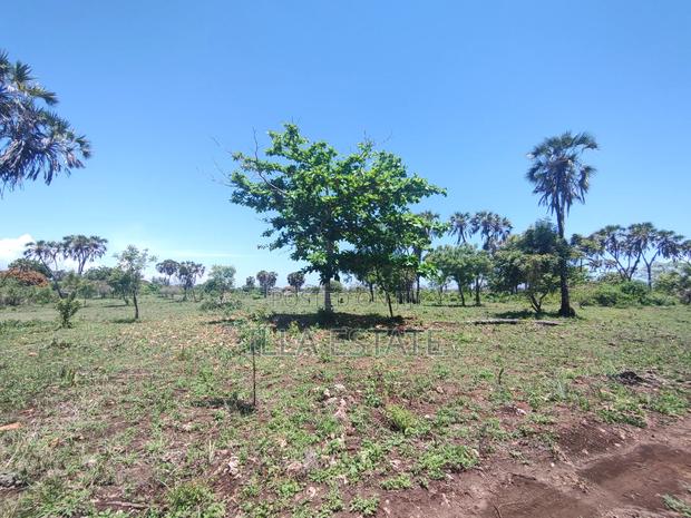 Development Opportunity in Diani - main view