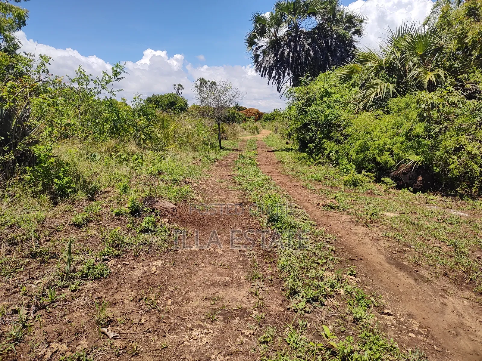 Development Opportunity in Diani