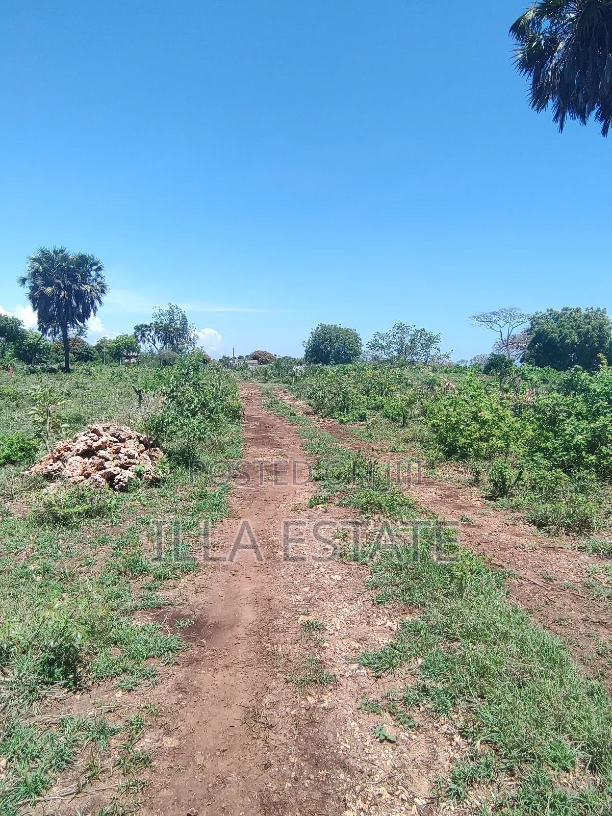 Development Opportunity in Diani