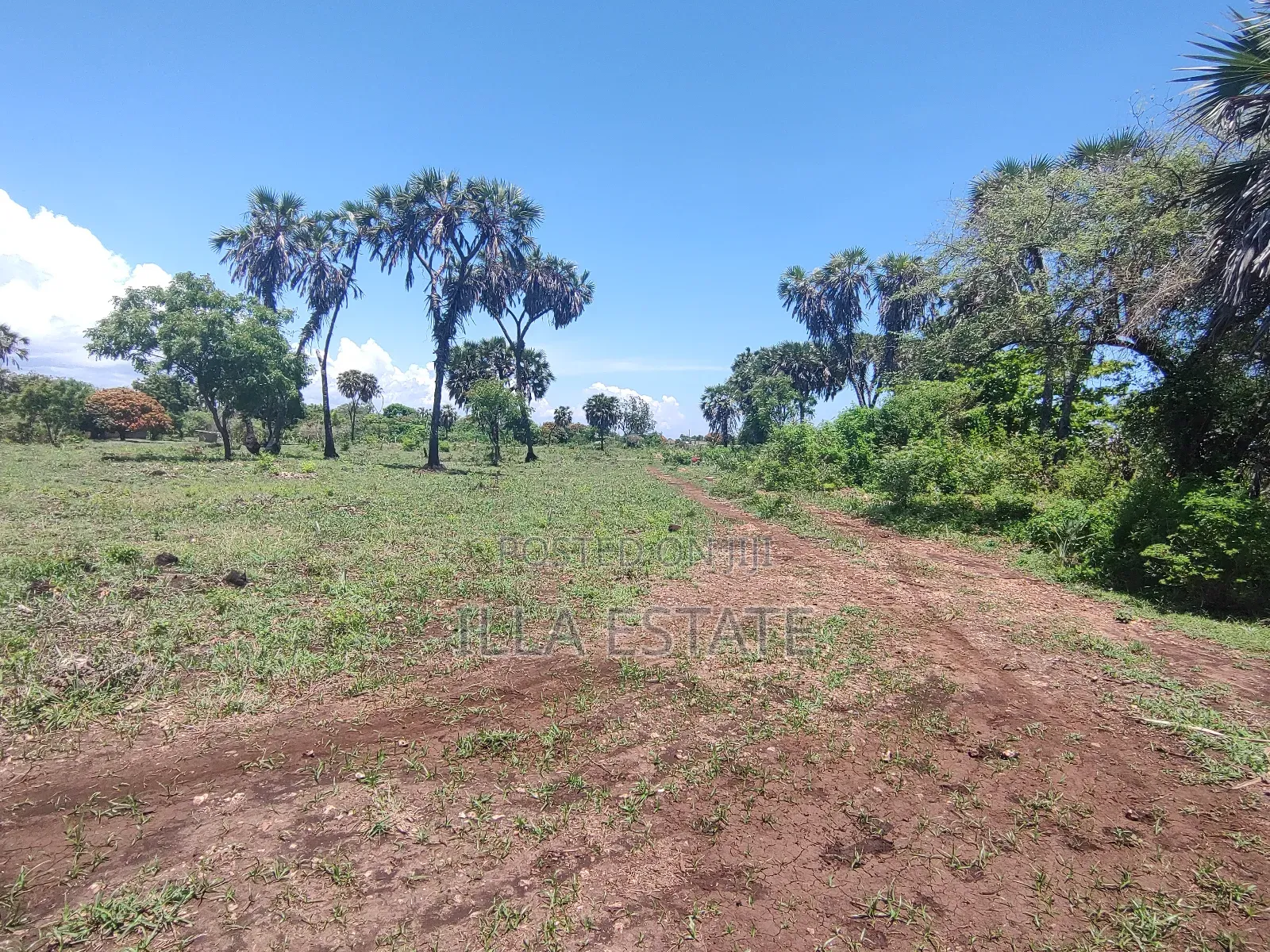 Development Opportunity in Diani