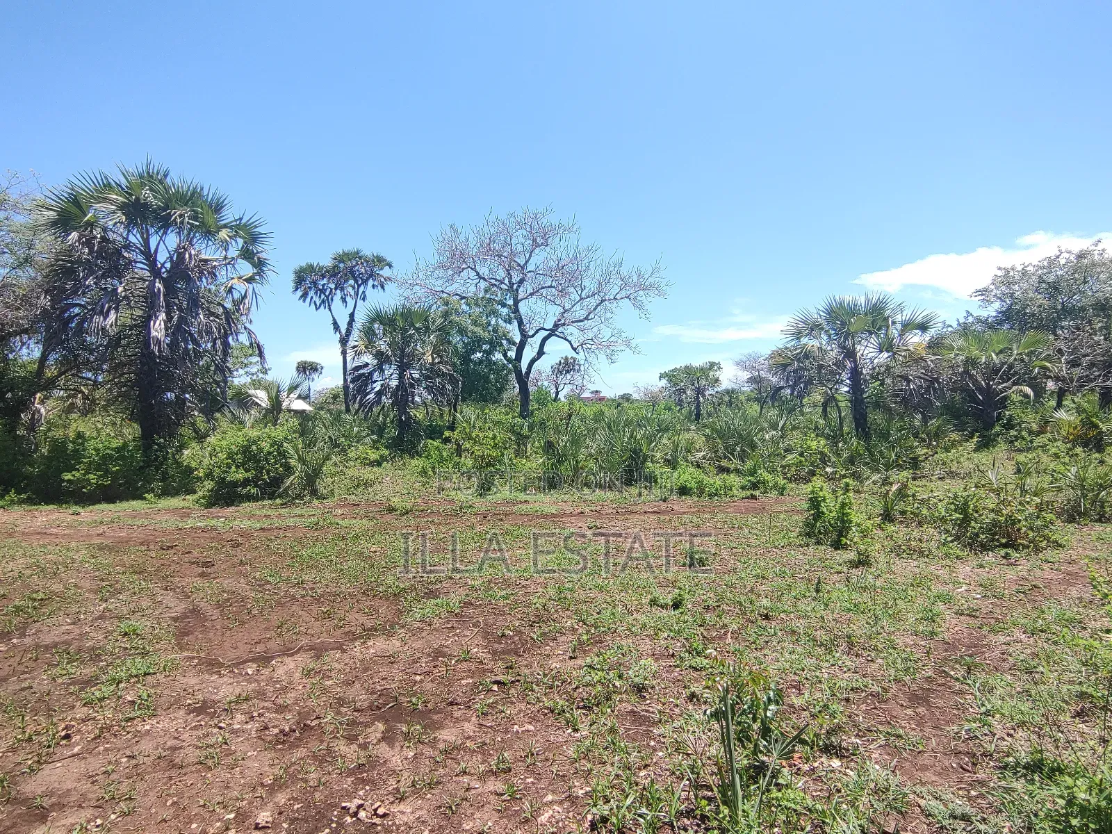 Development Opportunity in Diani