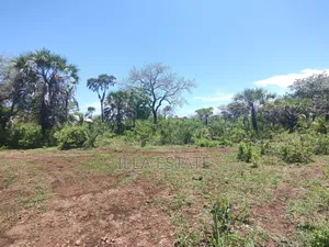 Development Opportunity in Diani