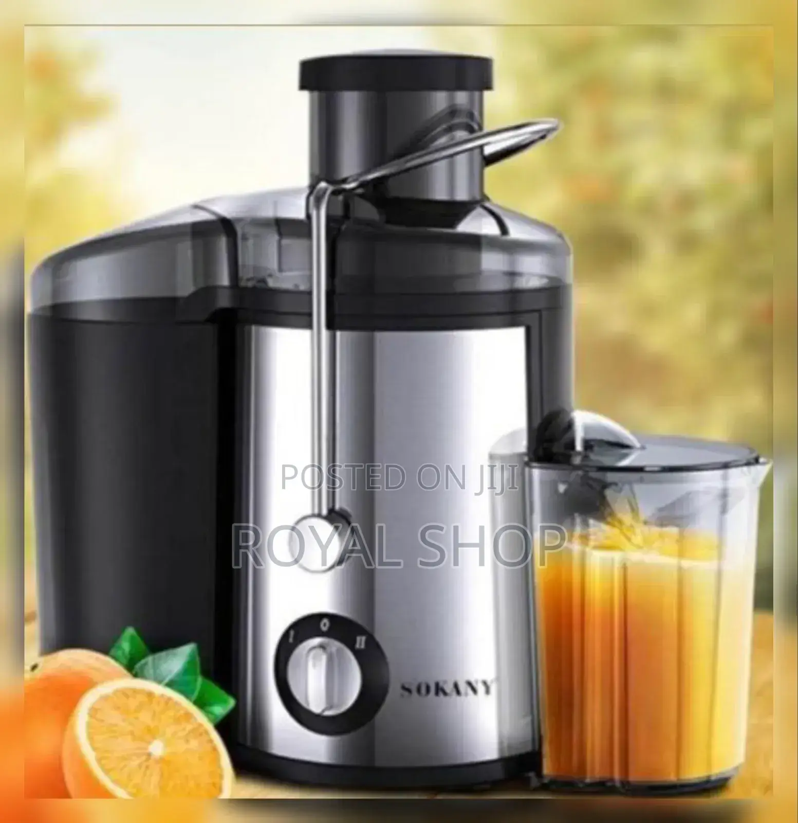 800w Sokany Juicer