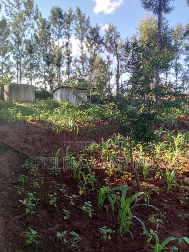 Owner Names - thumbnail 3