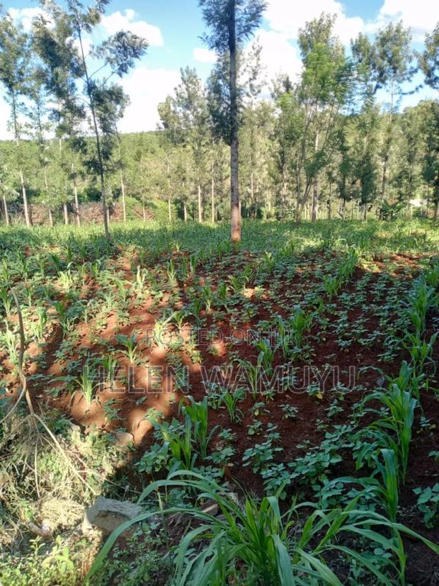 Owner Names - thumbnail 4