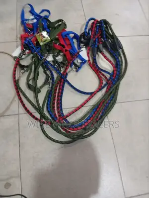 Dog Harnesses And Leashes.