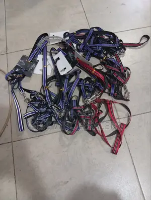 Chiwawa Dag Leash
