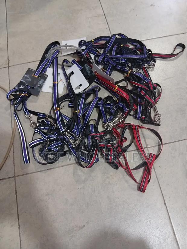 Chiwawa Dag Leash