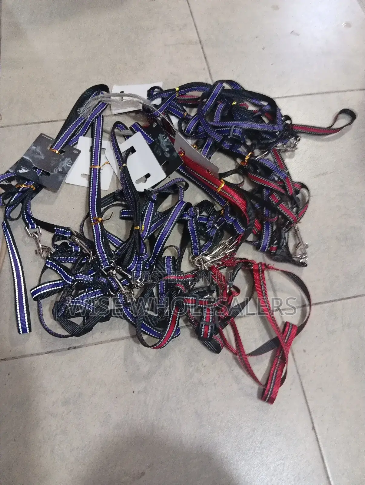 Chiwawa Dog Leash √°°°