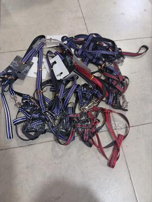 Chiwawa Dog Leash √°°° - main view
