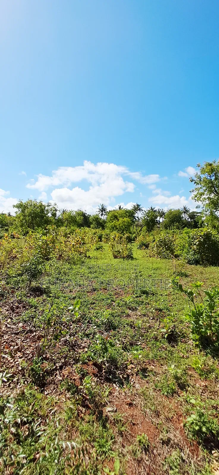 For Sale Residential Plots Kikambala