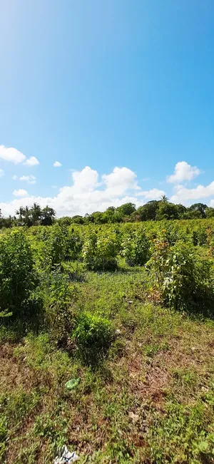 For Sale Residential Plots Kikambala