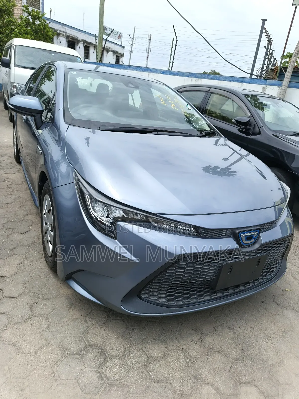 Toyota Corolla LE 2020 Blue