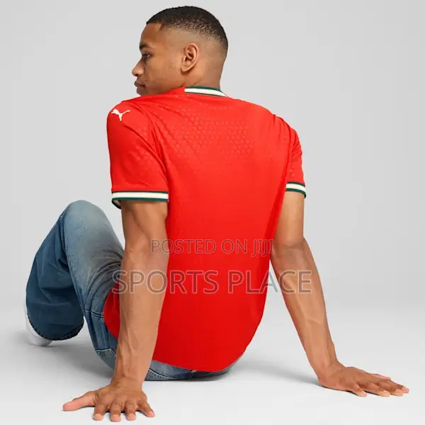 Puma Portugal National Home Team Jersey 25/26