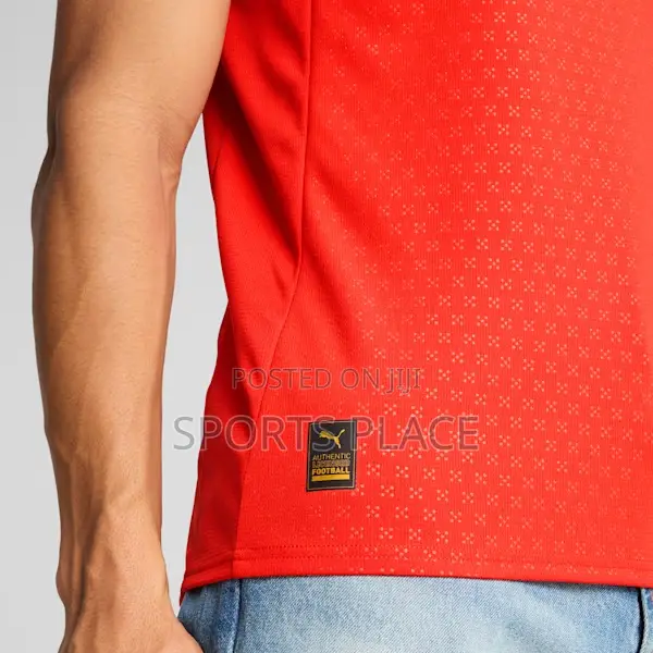Puma Portugal National Home Team Jersey 25/26