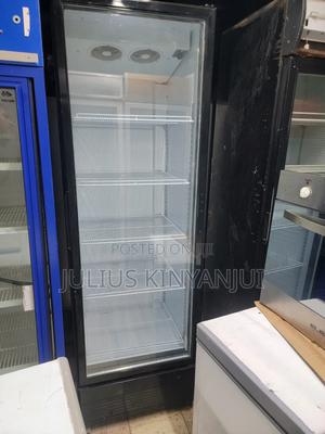 600l One Door Chiller - main view