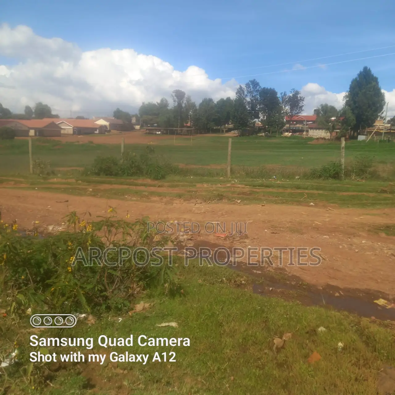 3 Acres for Sale – Timau, Nanyuki/Meru Highway (200m From Tarmac)