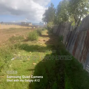 3 Acres for Sale – Timau, Nanyuki/Meru Highway (200m From Tarmac)