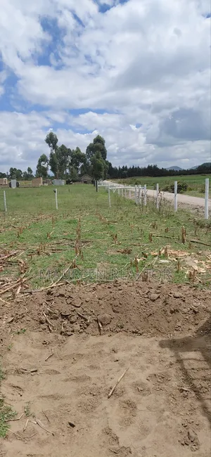 Prime 50x100 Plots Naivasha