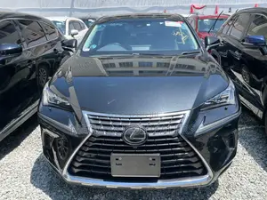 Lexus NX 300 FWD 2018 Black