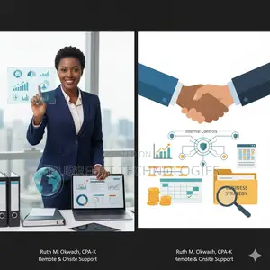Financial Consultancy Biz Planning Internal Controls, Audit Support
