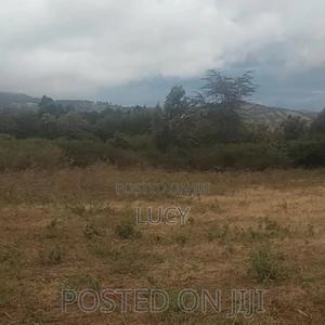 Prime Plots for Sale - thumbnail 2