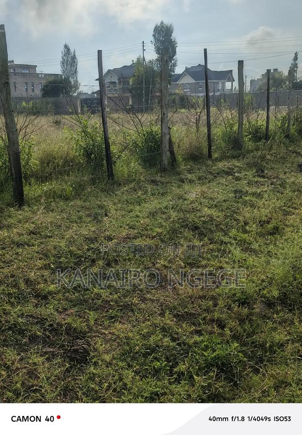 Mololongo Prime Plot - thumbnail 9