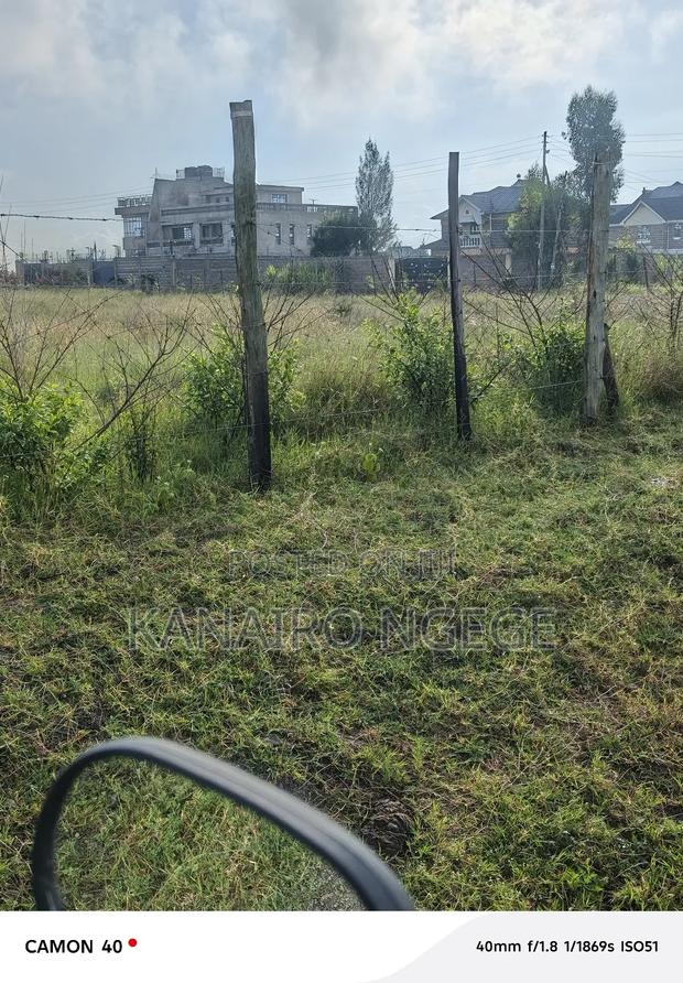 Mololongo Prime Plot - thumbnail 10
