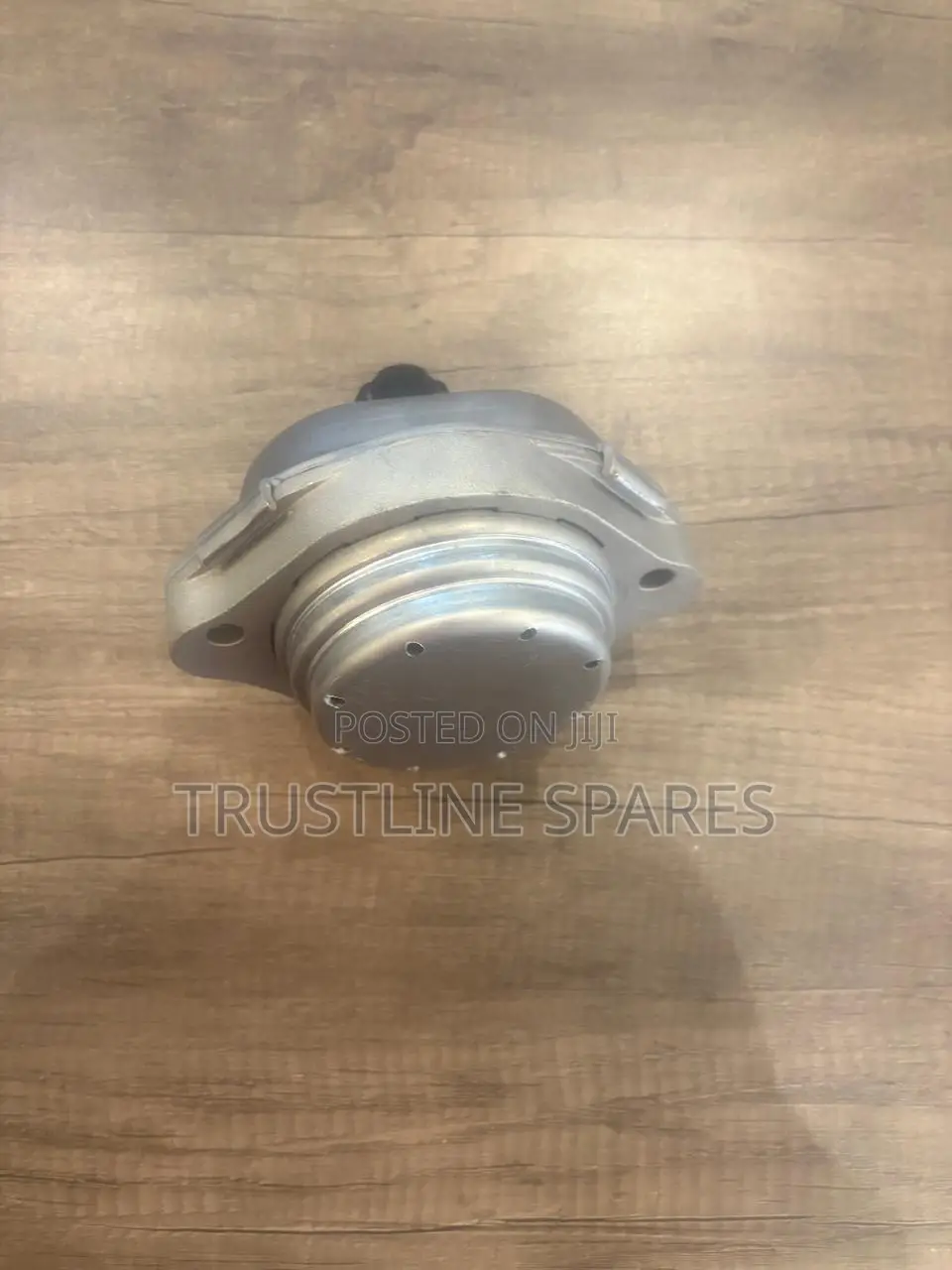 Engine Mount BMW X3
