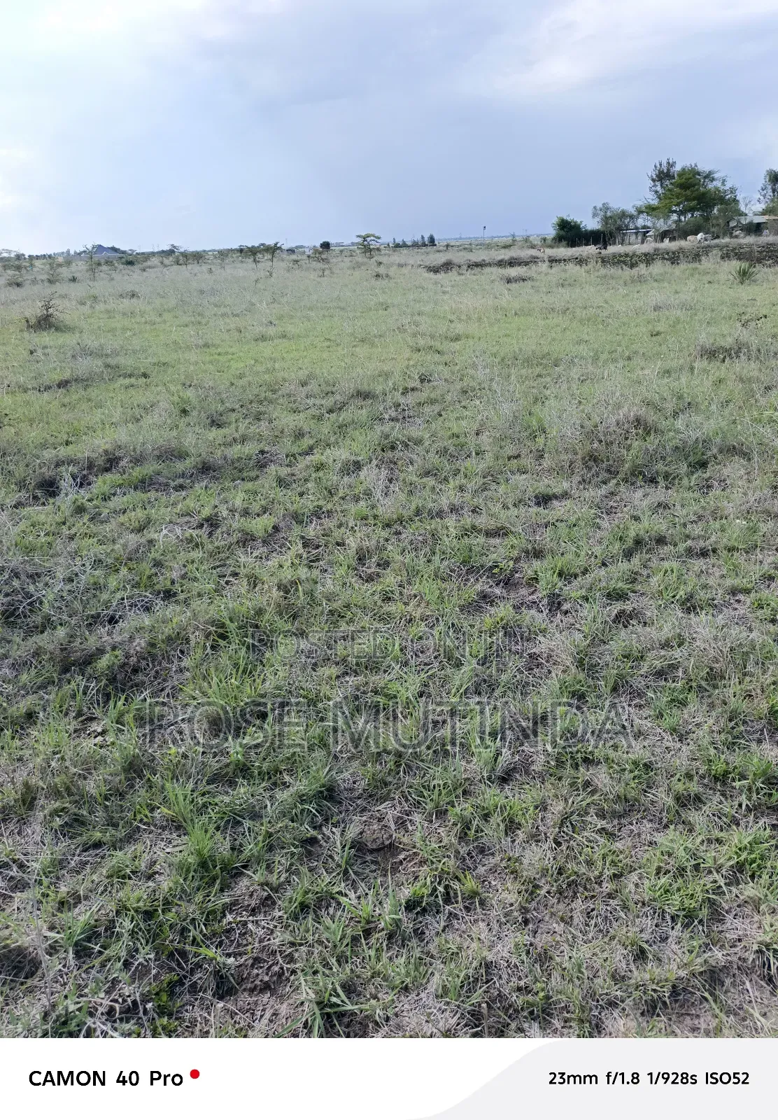 4acres at Misuuni