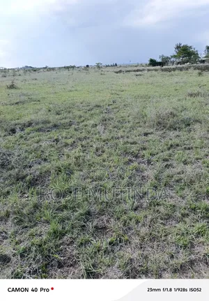 4acres at Misuuni
