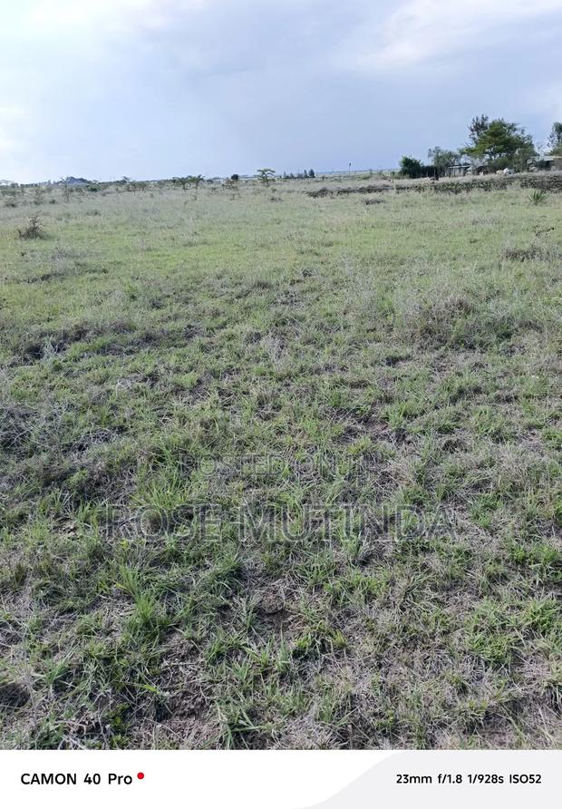 4acres at Misuuni - main view