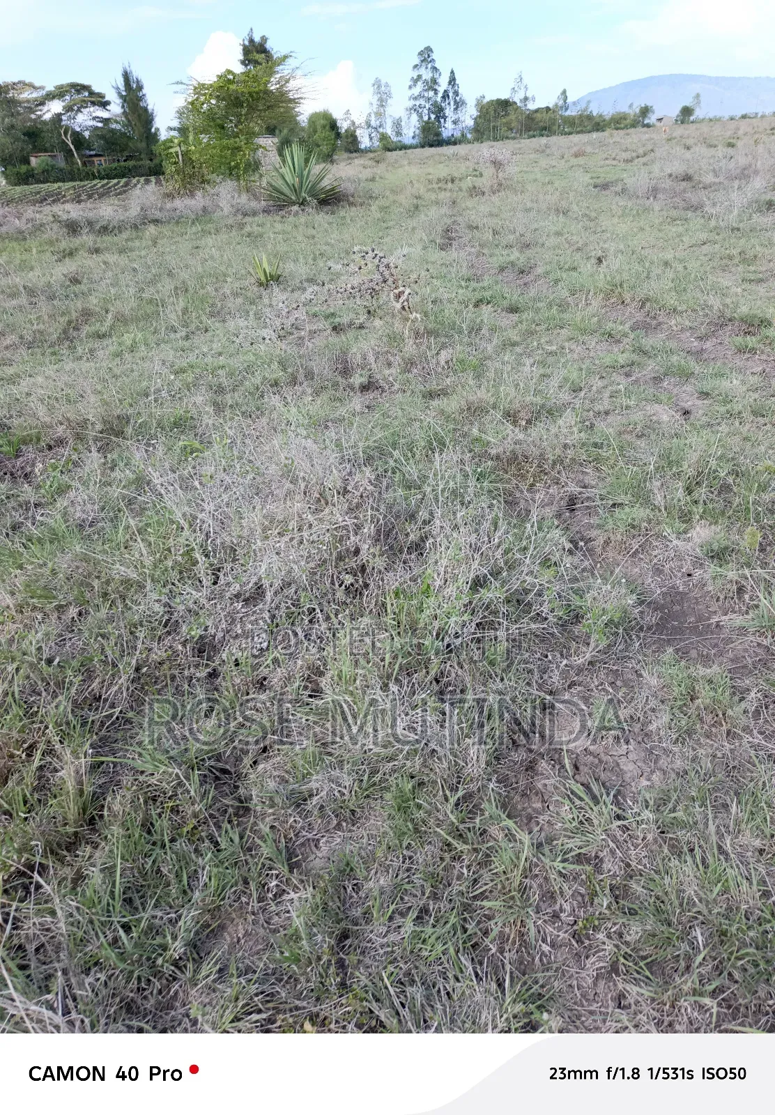 4acres at Misuuni