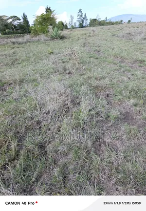 4acres at Misuuni