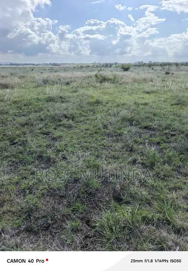 4acres at Misuuni - thumbnail 4