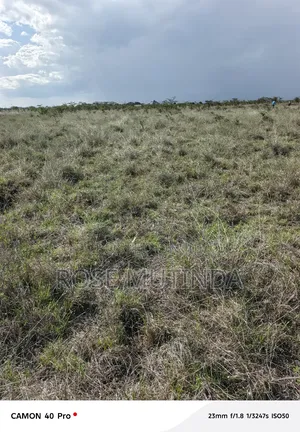 4acres at Misuuni