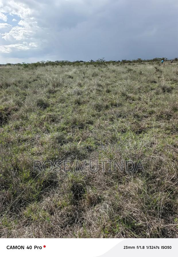 4acres at Misuuni - thumbnail 6